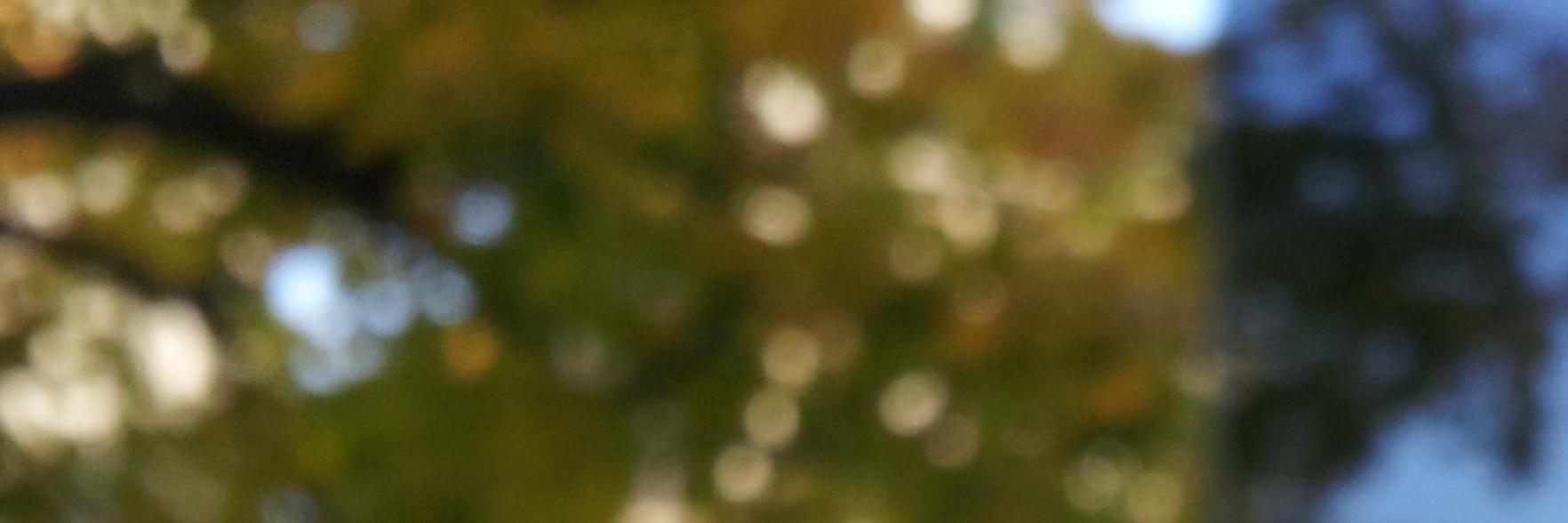 gskorupa's profile banner image