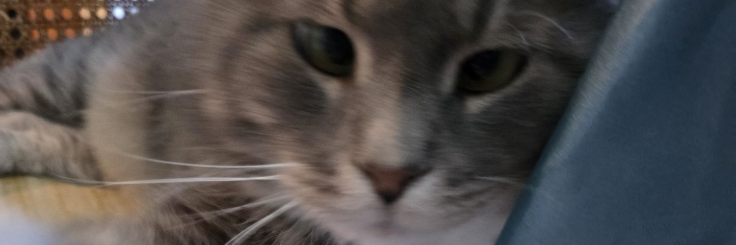 ninetiesgirly's profile banner image