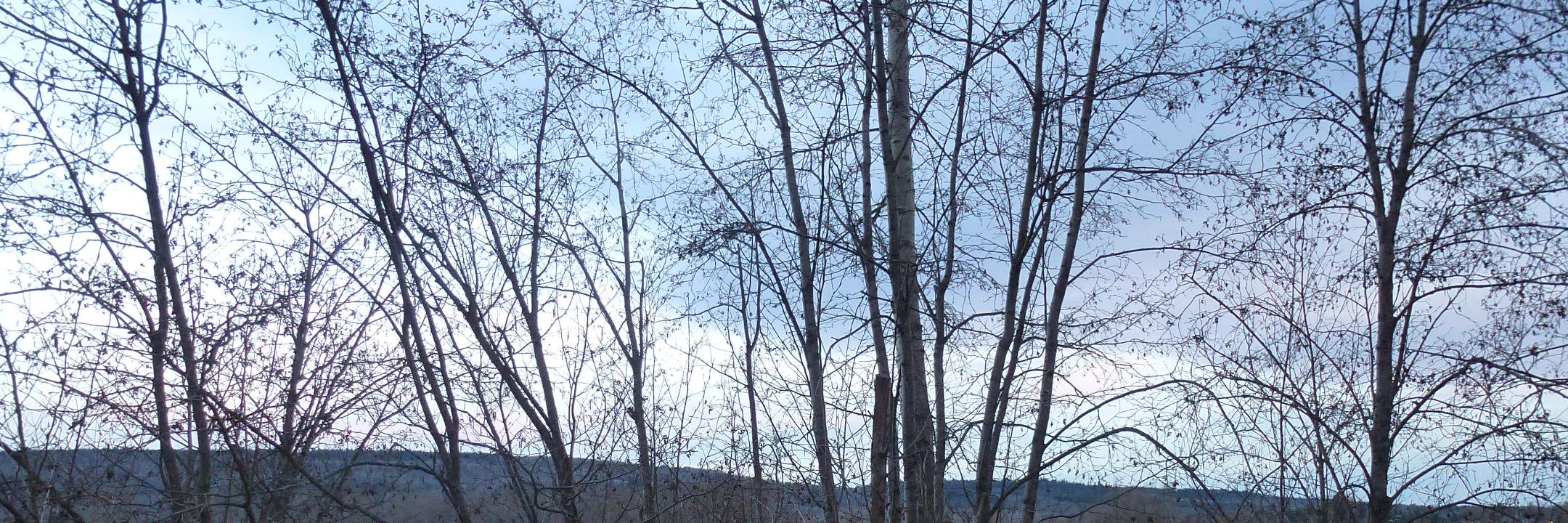 WTSPsong's profile banner image