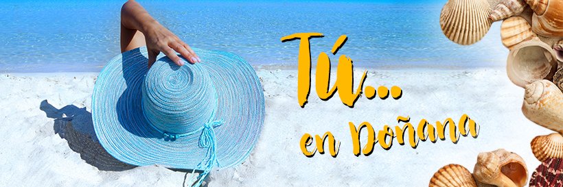 Hotel Dunas Doñana banner