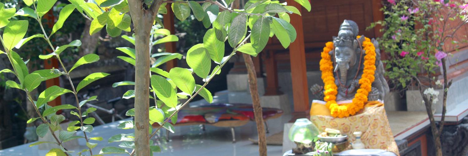 MickeyMouseVI's profile banner image