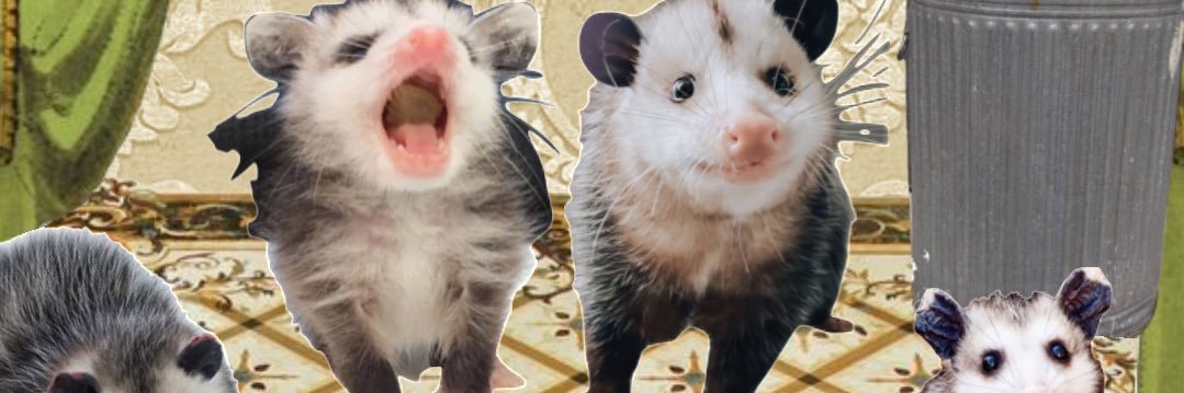 SnapcasterPaige's profile banner image