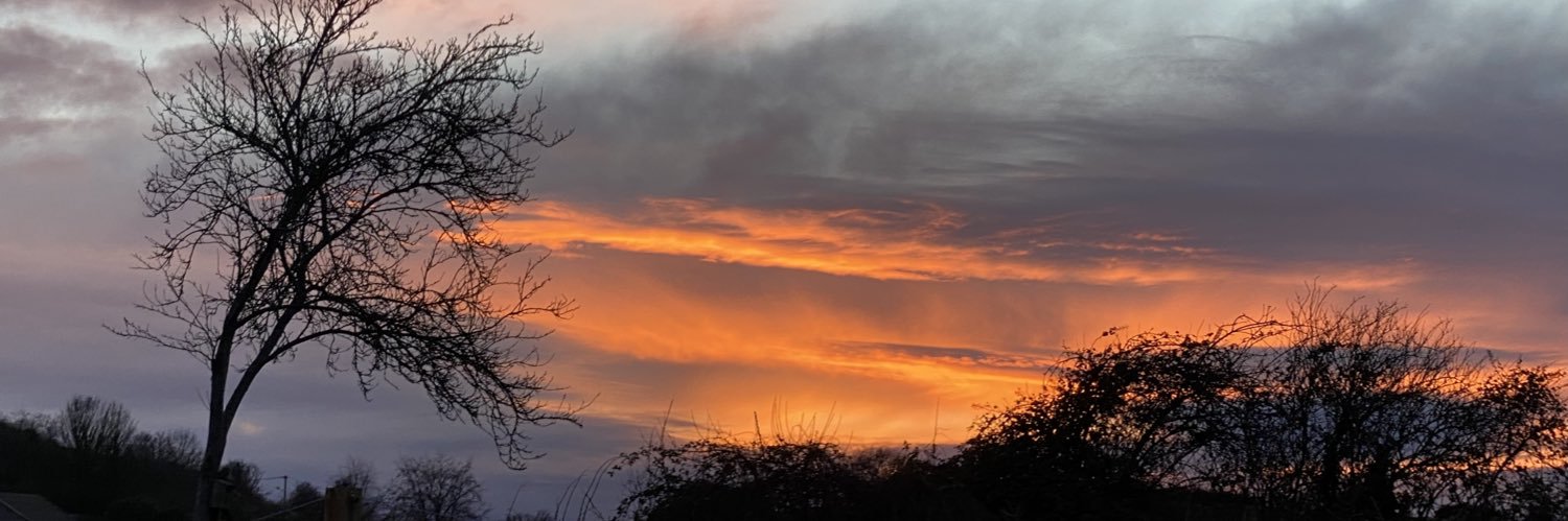 Hindmarsh_P's profile banner image