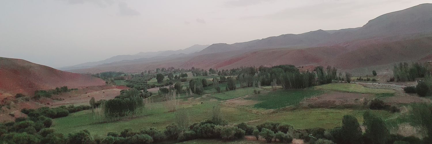 MTSultani's profile banner image