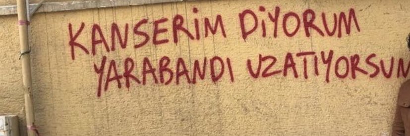 eceartunn's profile banner image