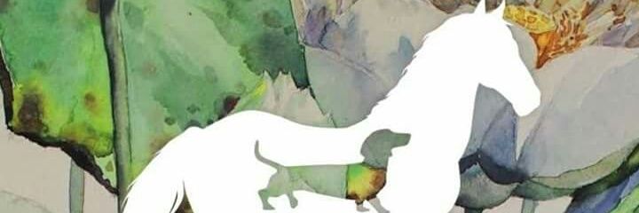 DogsbodyNI's profile banner image