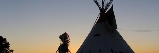 NativeWaves_HPR's profile banner image