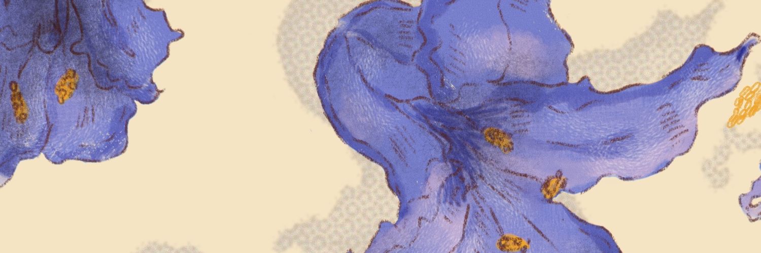 mashmato_'s profile banner image