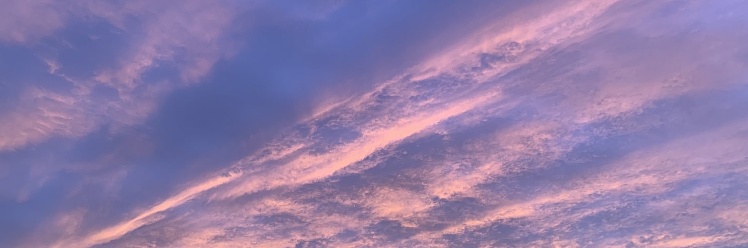 hann banner