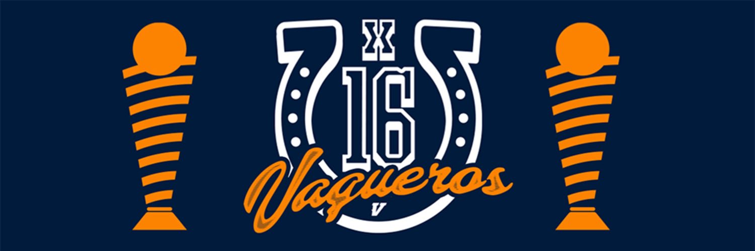 Vaqueros de Bayamón banner