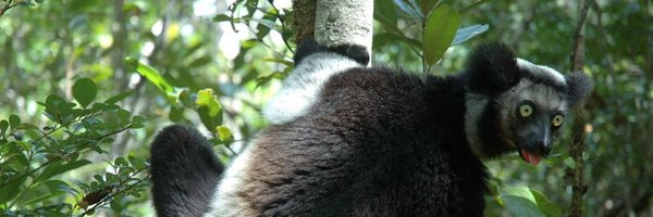 MVoakajy Profile Banner