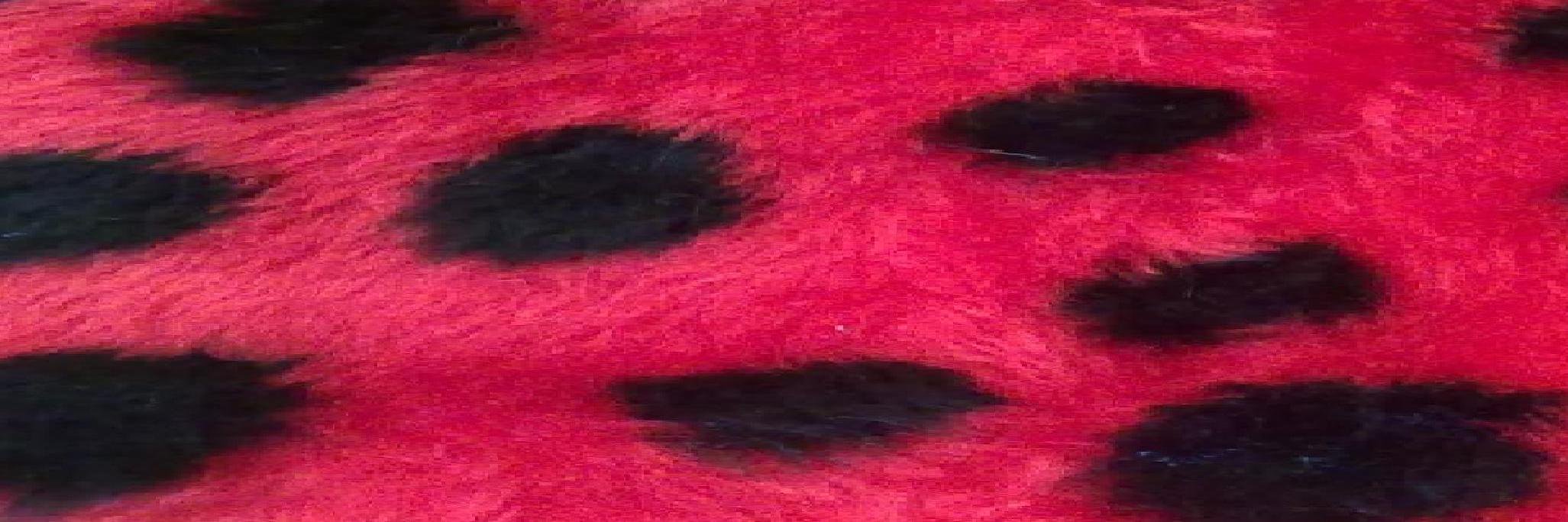 Gee3Maggie's profile banner image