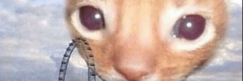Elllusss's profile banner image