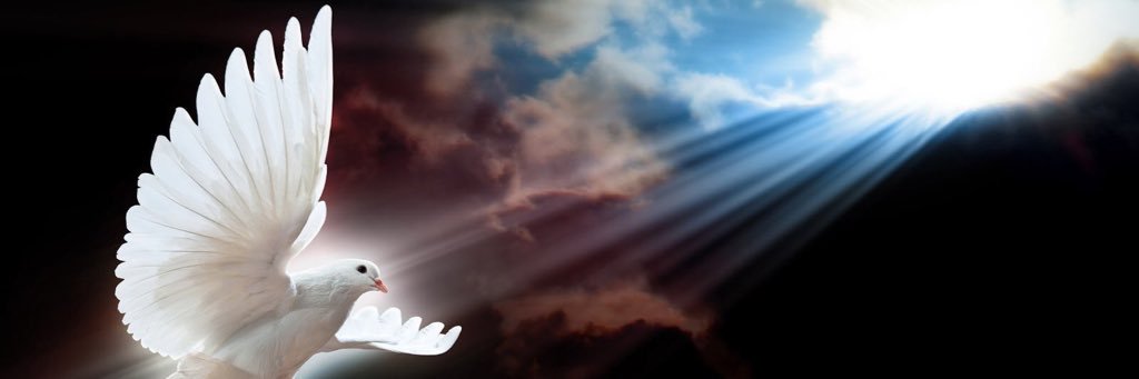 Anna Stavro🦋 banner