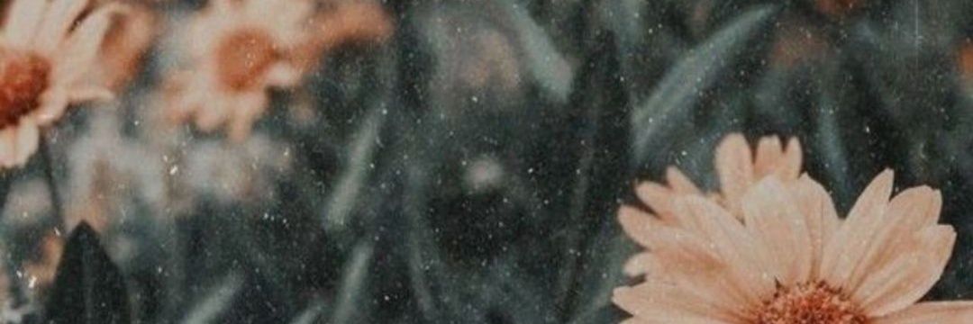 AngelaCarrerobe's profile banner image