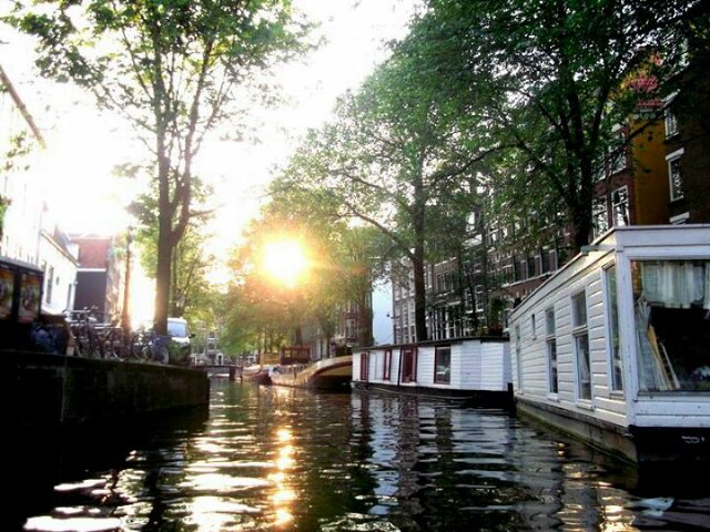 StormQuinlan's profile banner image