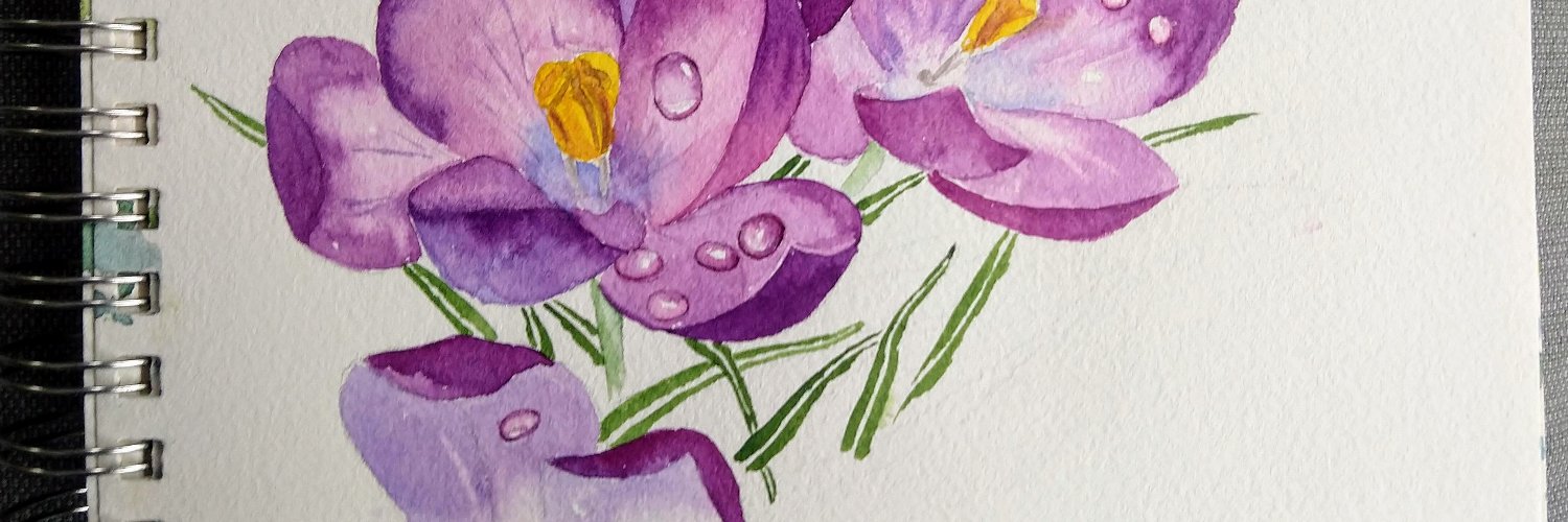 DeniseFalbo's profile banner image