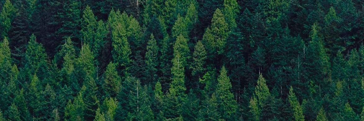 nogueblanco's profile banner image