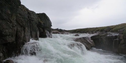 graukarriert's profile banner image