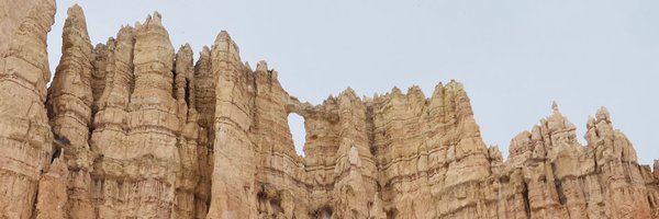 ECVStudioPURE Profile Banner