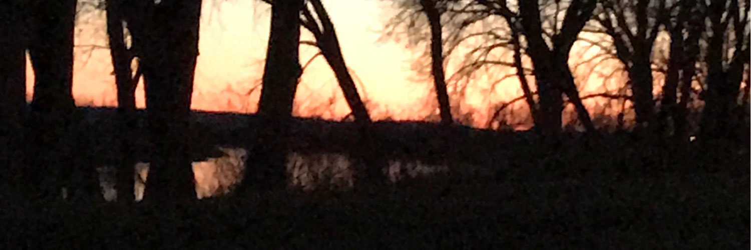 JillSharp4's profile banner image