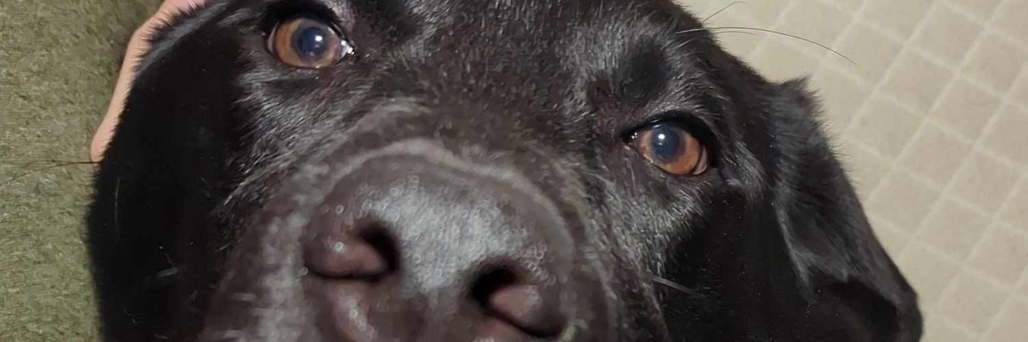 AlexMCooley's profile banner image