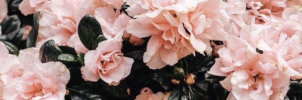 beat_itt Profile Banner