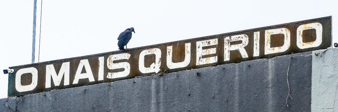 dudubittencour3's profile banner image