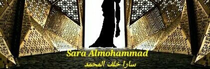 saaraaa2011's profile banner image