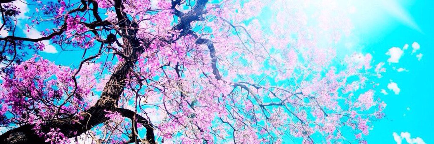 top_nya's profile banner image
