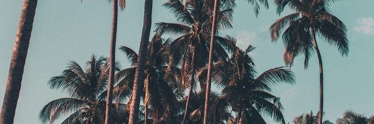 aalvaaroo98's profile banner image