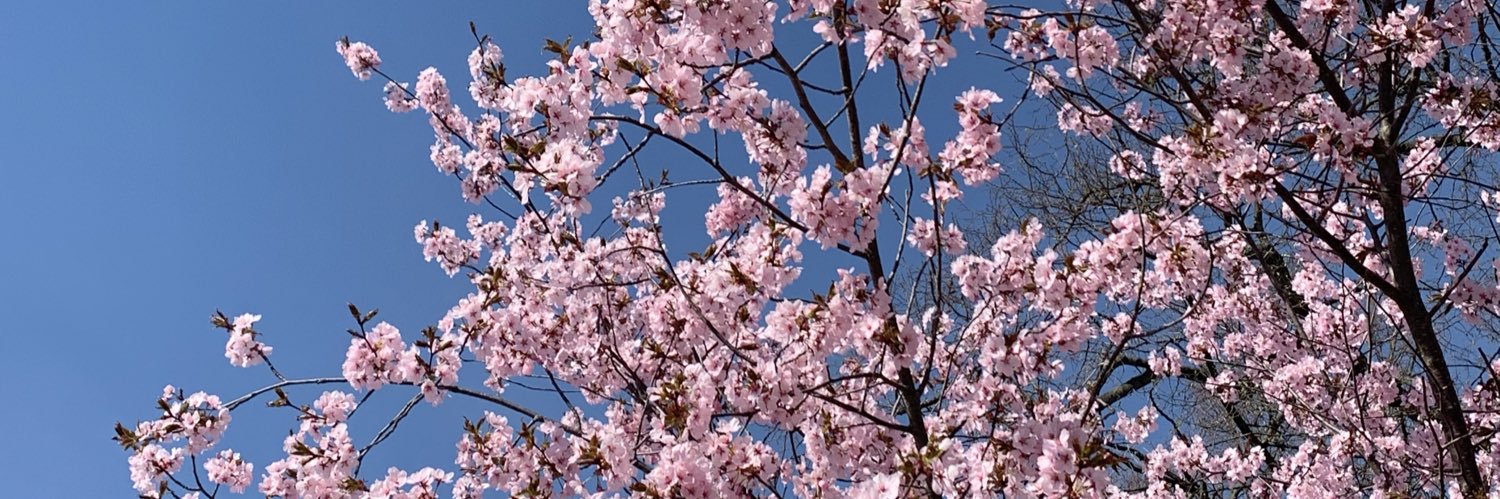 fralexandersson's profile banner image