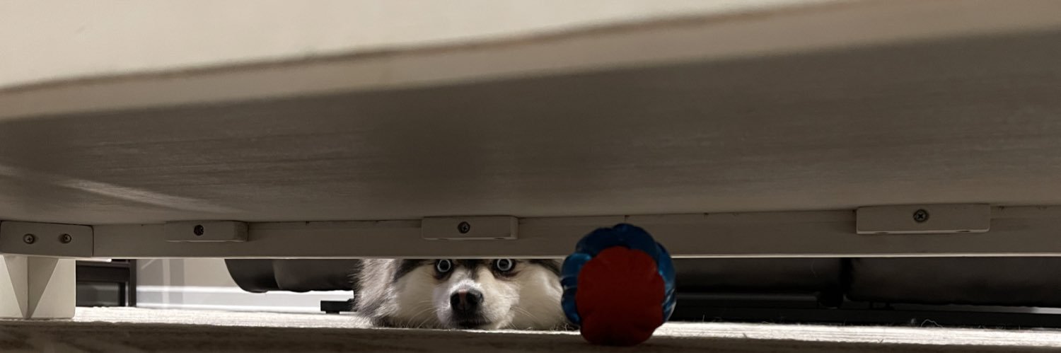 DatDudeEvanga's profile banner image