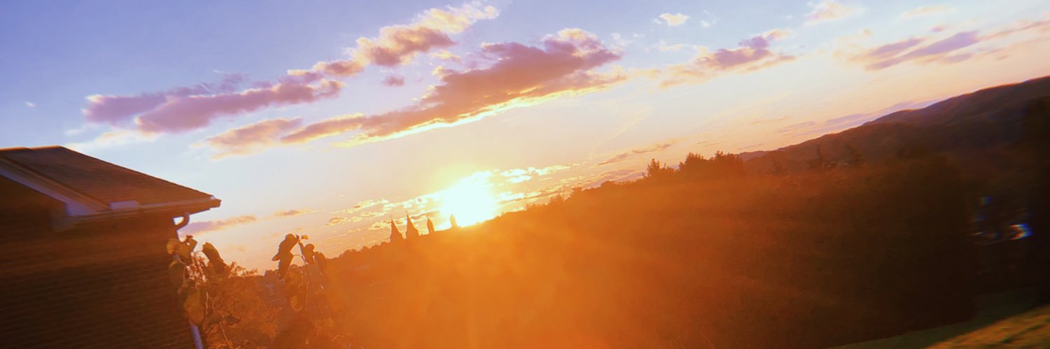 ElizabethKloos2's profile banner image