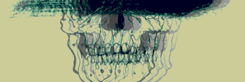 MaritheCaforio's profile banner image