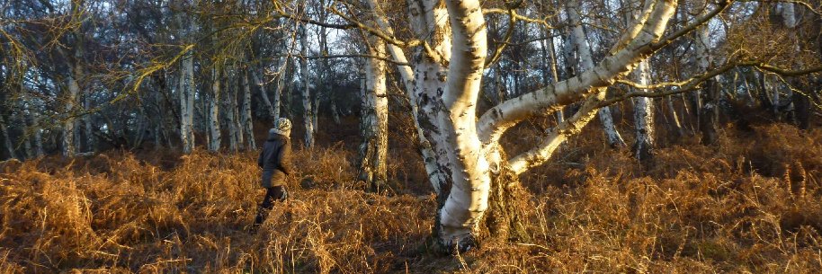 Charlotte Du Cann banner