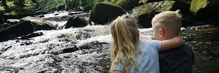 Shady_Ricci's profile banner image