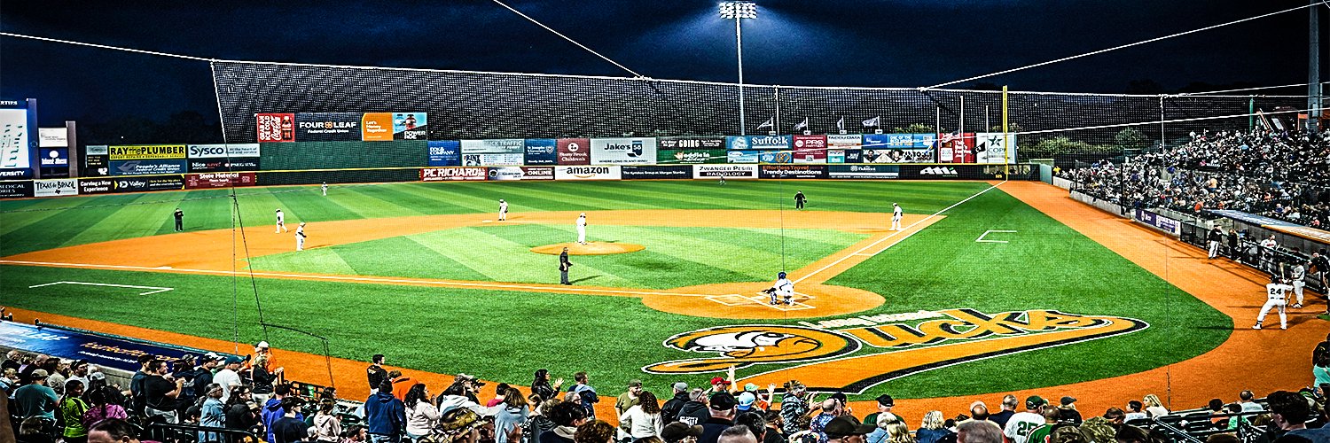 LIDucks's profile banner image