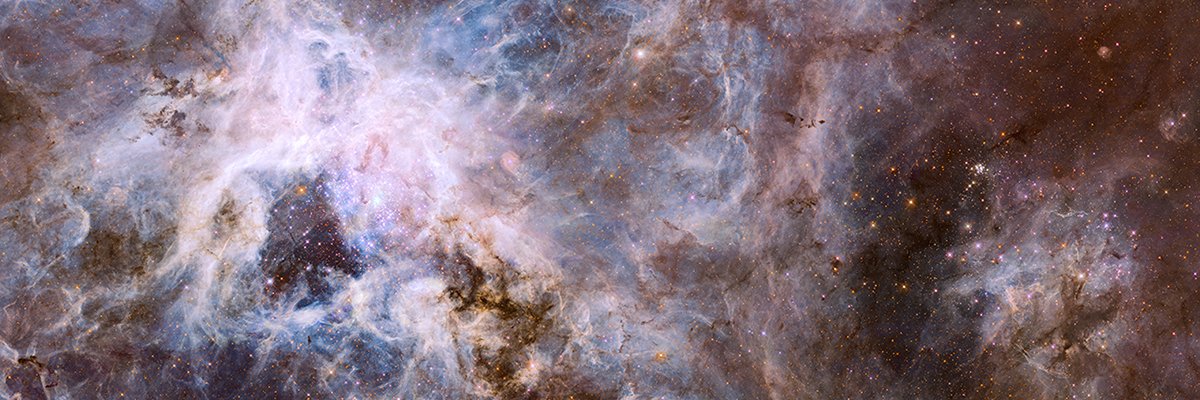 Nico ఠ_ఠ 🇵🇸 🇳🇨 banner