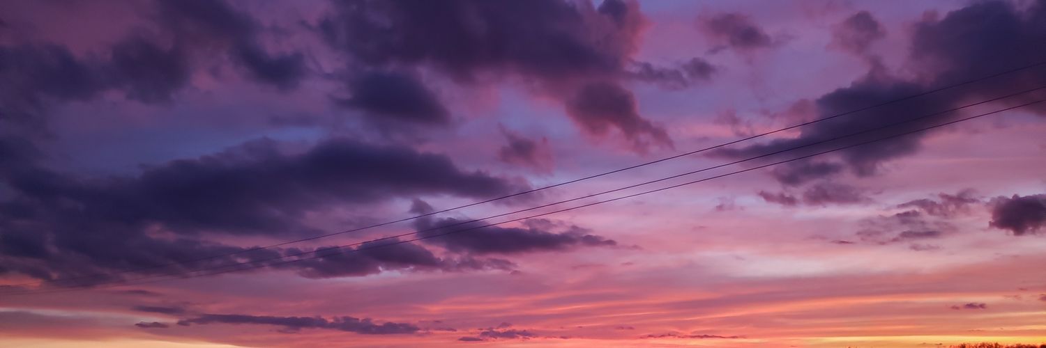 Tamy_zc's profile banner image