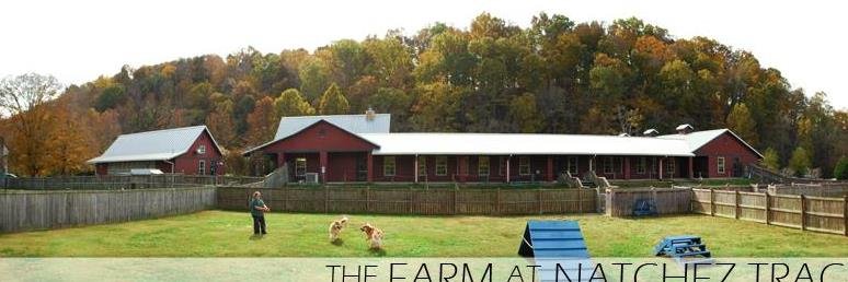 TheFarmNatTrace's profile banner image