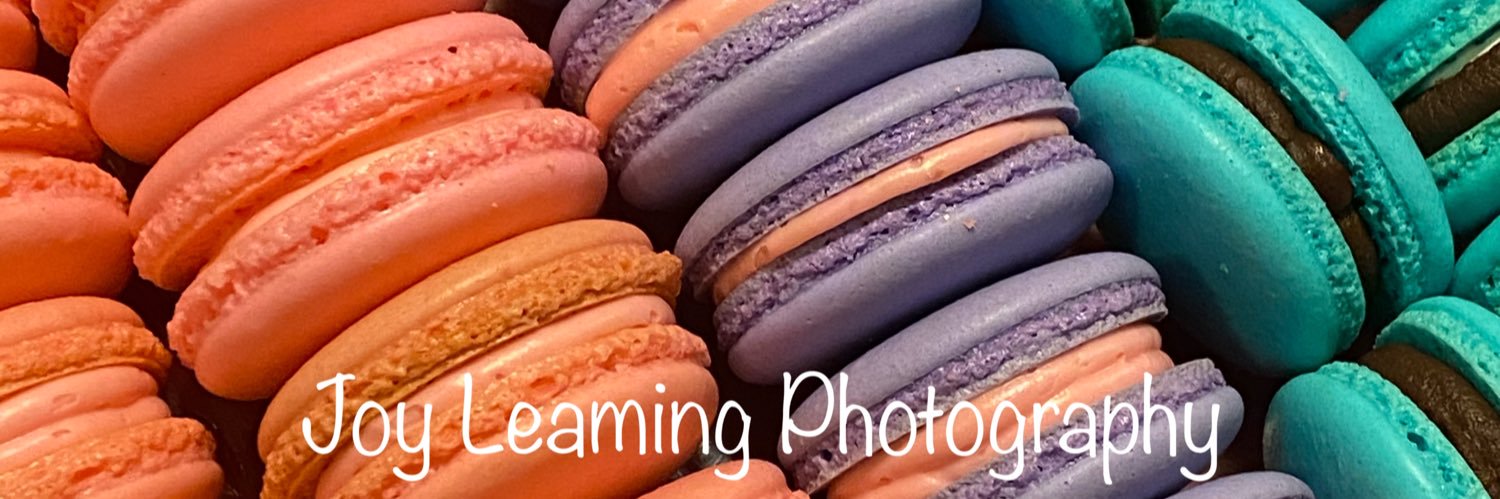 JoyGrace17's profile banner image