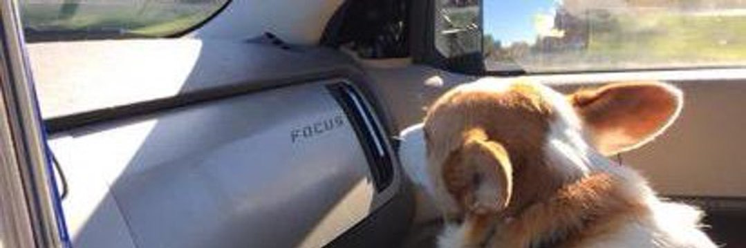 Arvin Aminpour banner