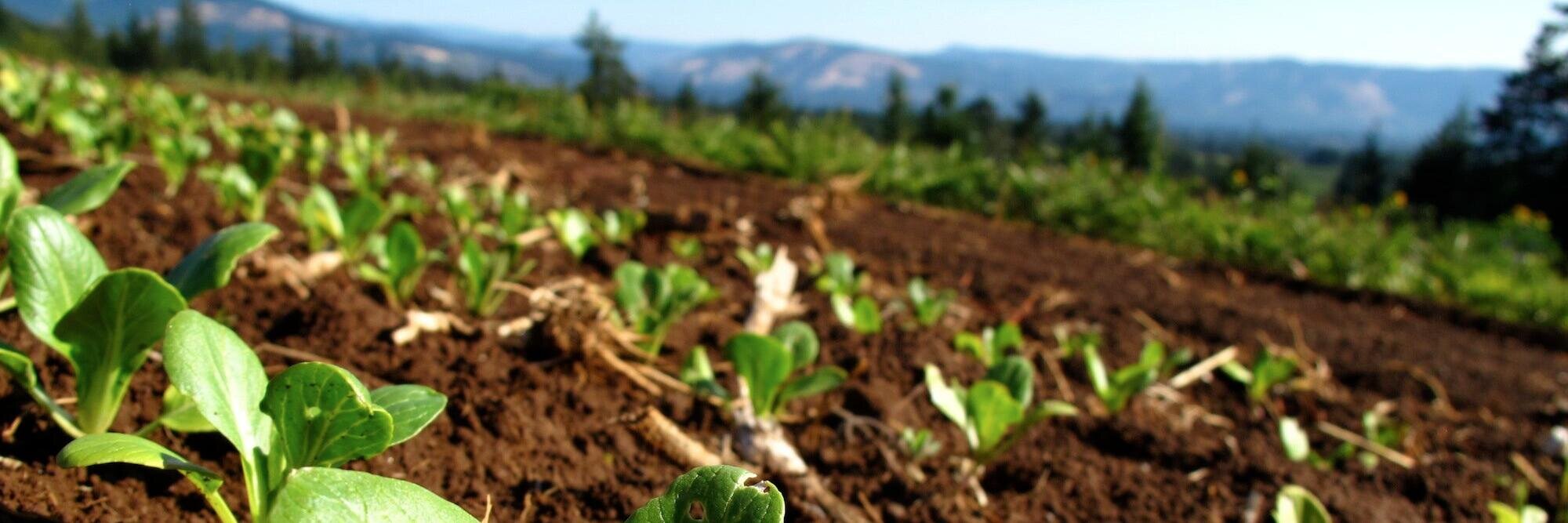 sustainableag's profile banner image
