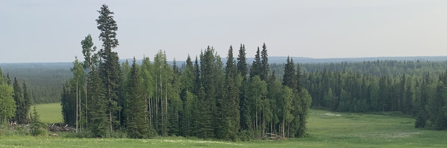 ShakeAndBakeAK banner