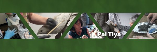 pal_tiya Profile Banner