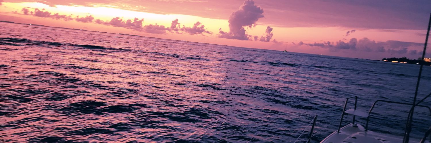 Sn0wflakeEscape's profile banner image