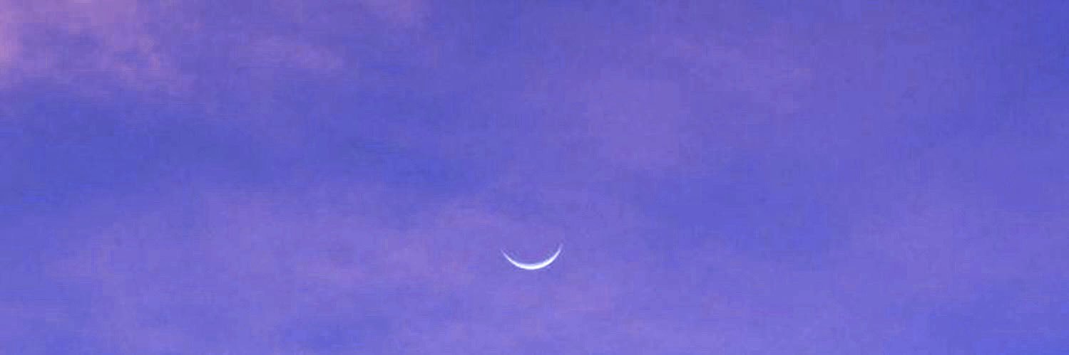silvixxmay's profile banner image