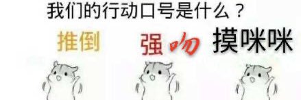 ncxinxin's profile banner image