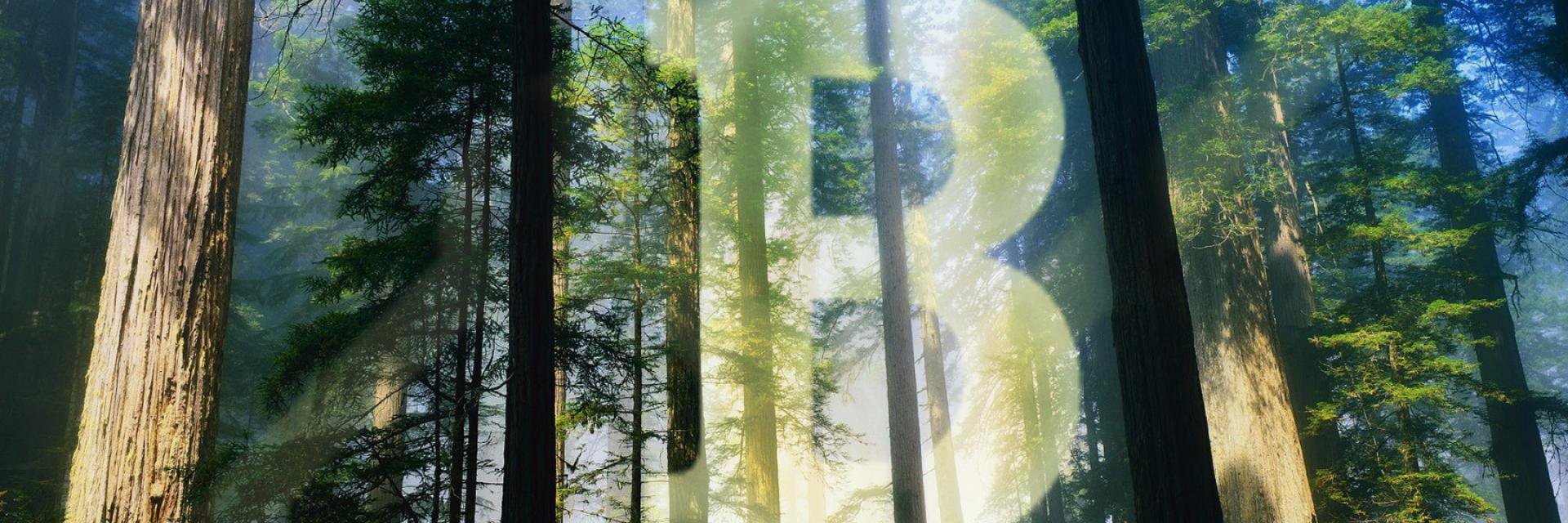 Bitcoin Green banner